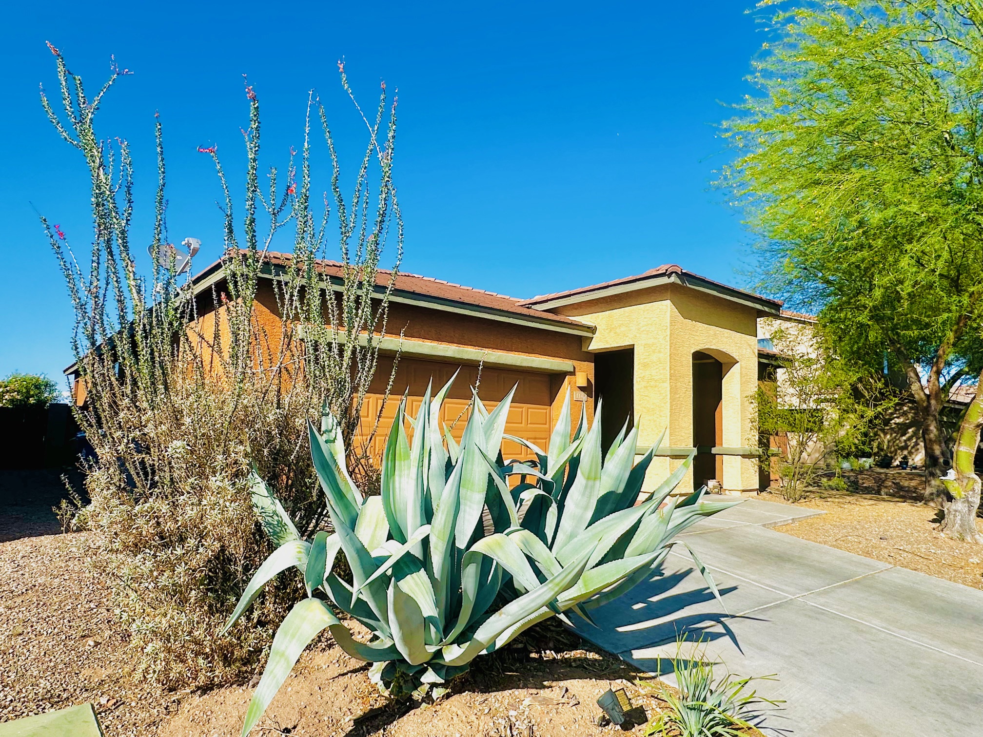 Property thumbnail image